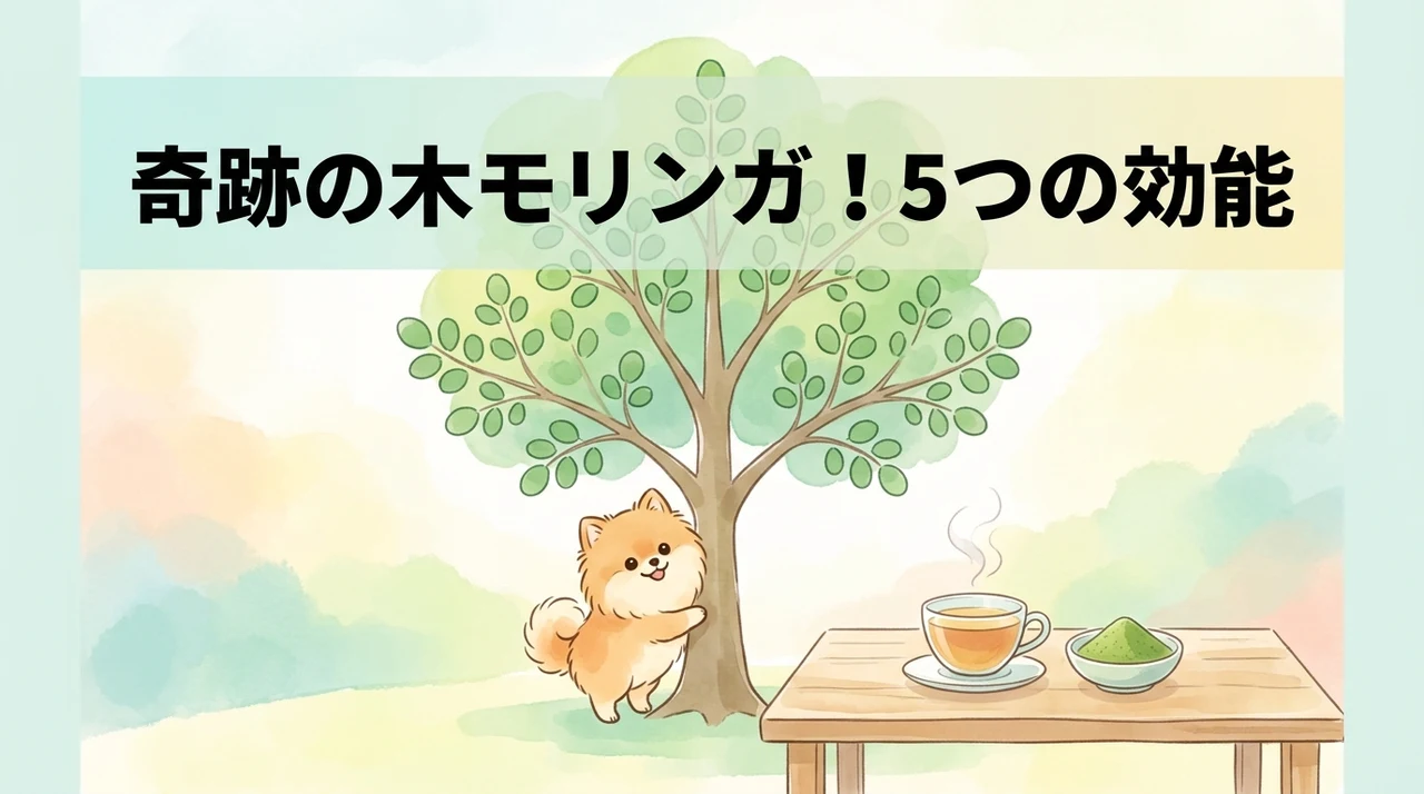 モリンガの効能がもたらすメリット5選