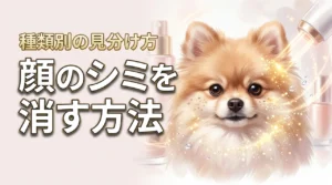 なかなか消えない顔のシミを消すには？種類別の見分け方と失敗しない対策の選び方