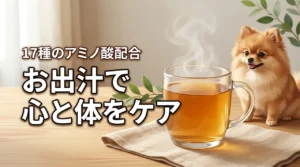 飲んだっていいじゃない! お出汁だもので心と体をケア！17種のアミノ酸で健康習慣