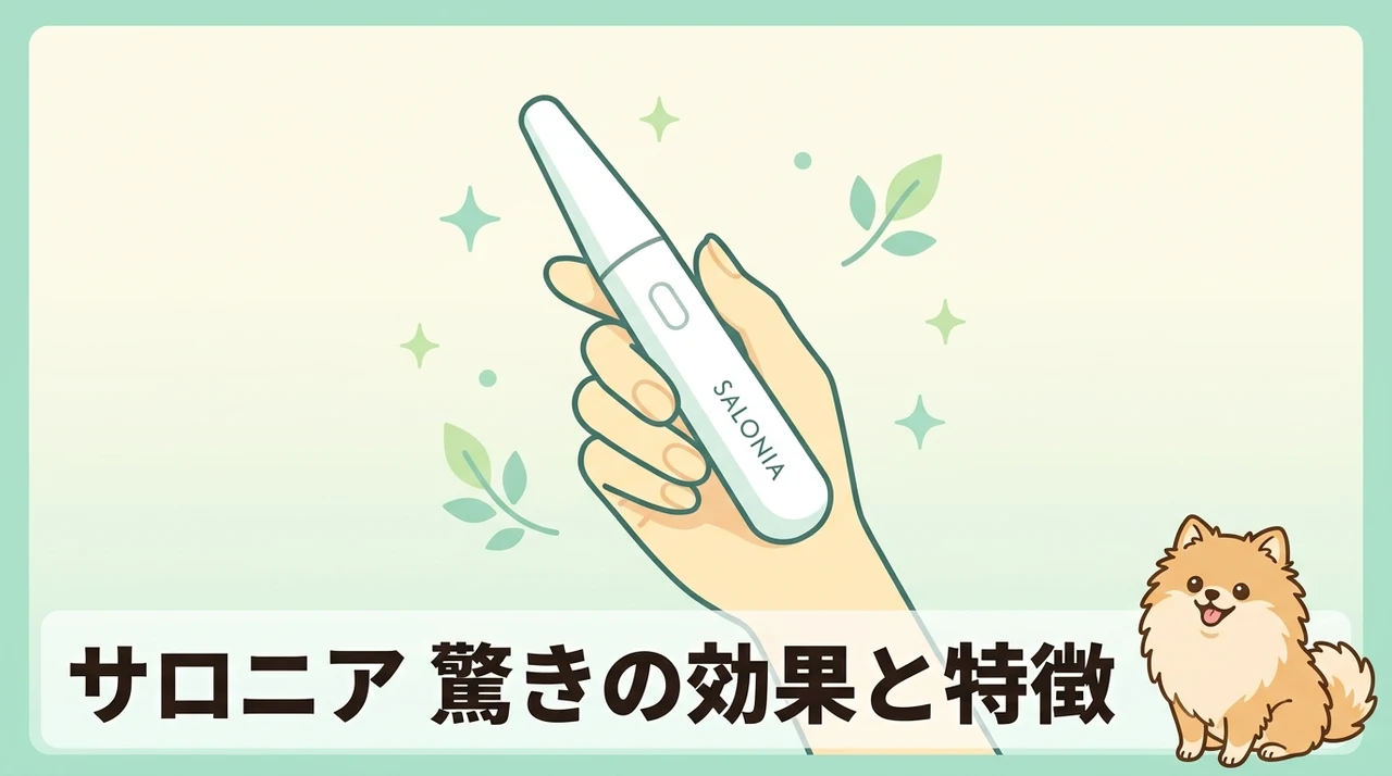 サロニア フェイス ポインターの特徴と効果