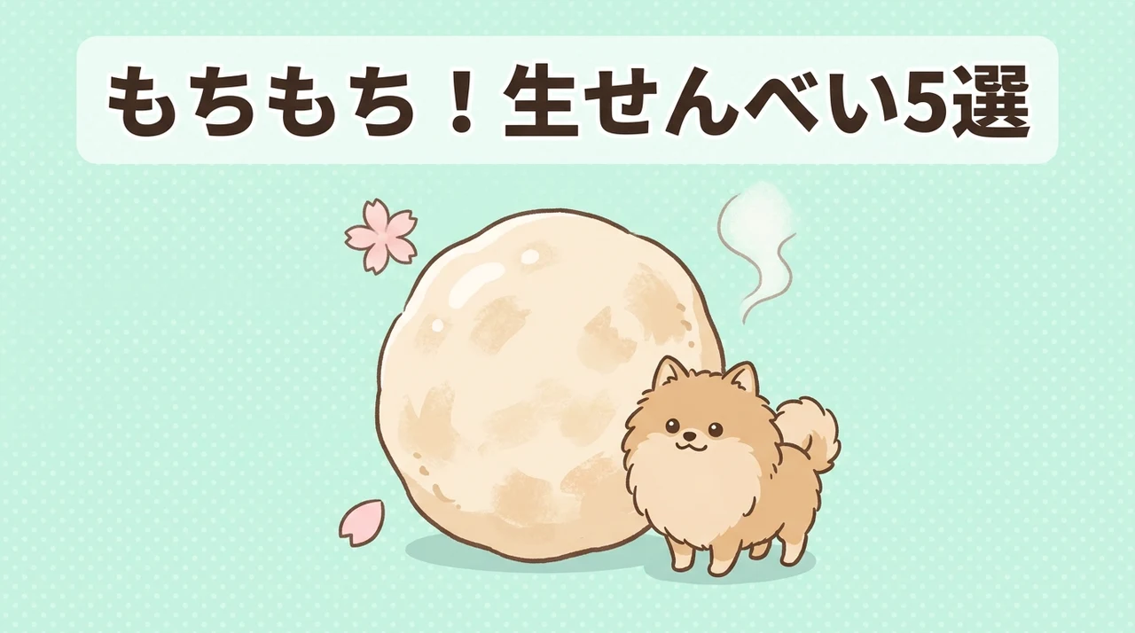 生せんべいのおすすめ人気商品5選