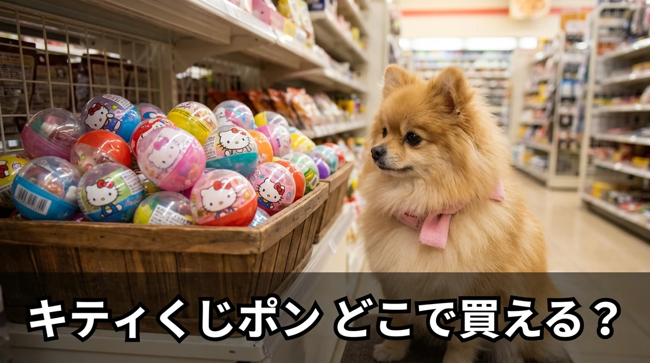 ハローキティのくじポンはどこで売ってる?