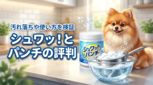 テレビ通販のシュワッ！とパンチは汚れが落ちない？評判や使い方を詳しく検証！